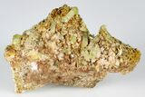 Lustrous, Yellow Apatite Crystals on Feldspar - Morocco #185455-2